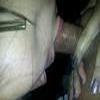 foto do perfil elediscreto